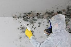 Best Biohazard Mold Removal  in Bloomingburg, OH